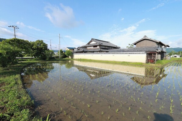 Water reflection before and after rice planting
