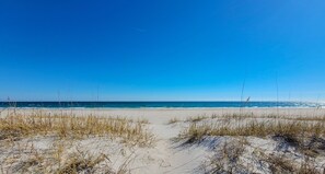 1117 Ocean Blvd (Albion [Ext Reshoot]) - watermarked-03