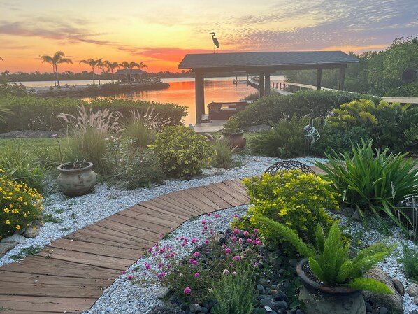 Captivating waterfront sunsets and nature show!