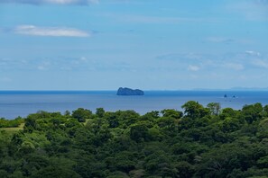 Tropical Dry Forest, Pacific Ocean, and unobstructed views of the Catalina Islands are some of the reasons our guests begin planning a more permanent escape