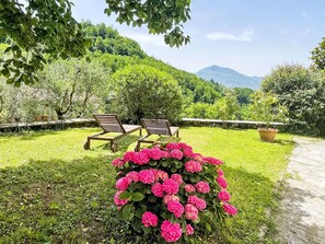 Nuage, Ciel, Bâtiment, Plante, Fenêtre, Propriété, Vert, Maison, Lot Terre, Arbre
