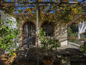 Plante, Fenêtre, Bâtiment, Pot De Fleur, Végétation, Plante D'Appartement, Porte, Paysage, Teintes Et Ombres
