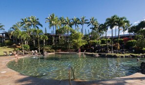 View of the resorts lagoon style pool. 