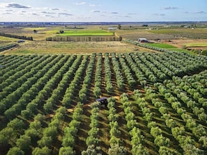 Vue aérienne