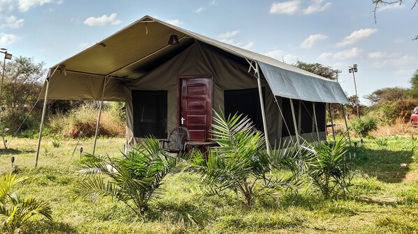 Safari Canvas Tent 2