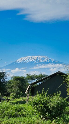 Tents facing the Mountain View of Mt. Kilimanjaro