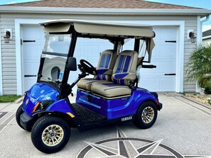 2 Passenger Yamaha Gas Golf Car 