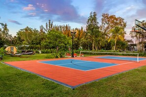 Basketball/Pickleball/Volleyball Court