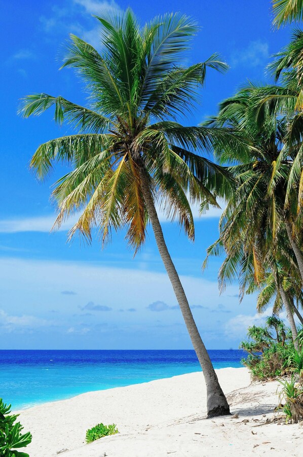 Playa