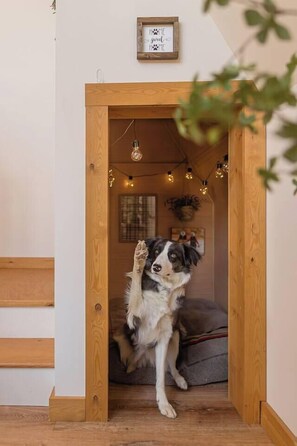 Dogs are VIP at The Shack including their own built in dog house! 