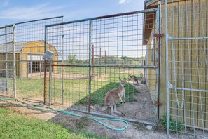 On-Site Exotic Animal Farm | Tours Available
