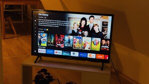 Fernseher