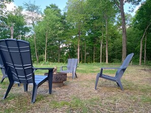 Firepit with provided wood