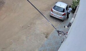 View from camera at the gate 
