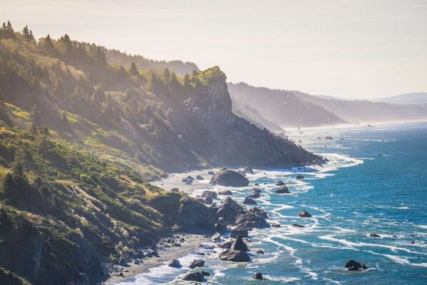 "The Lost Coast"