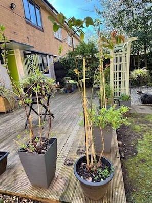 Terrass/Patio