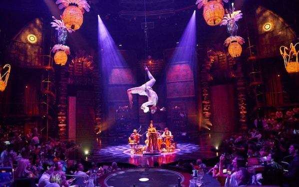 Live Cirque du Soleil Show