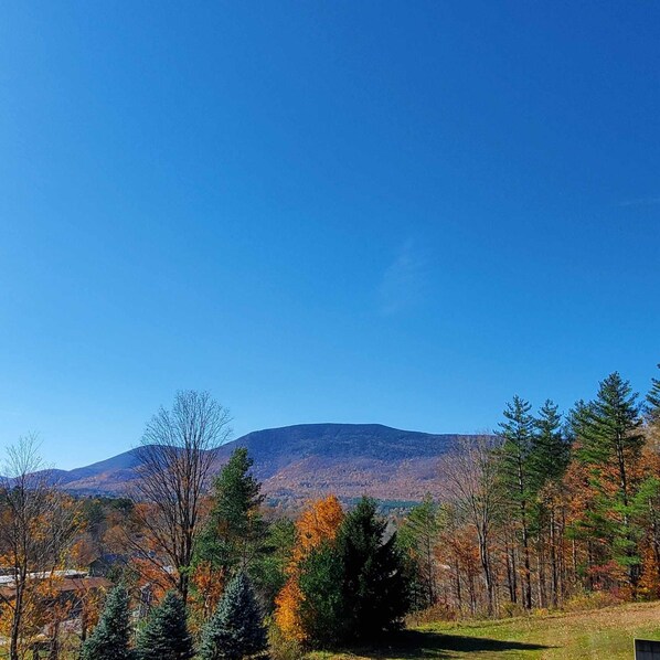 Views from the deck.