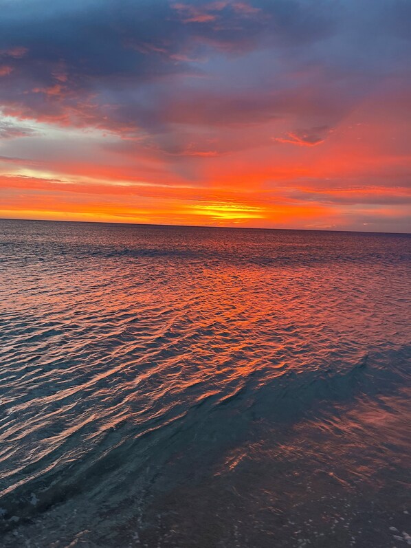 Hawaii Life