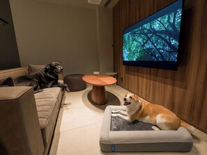 [Living room (F)] A living room where you can relax with your dog