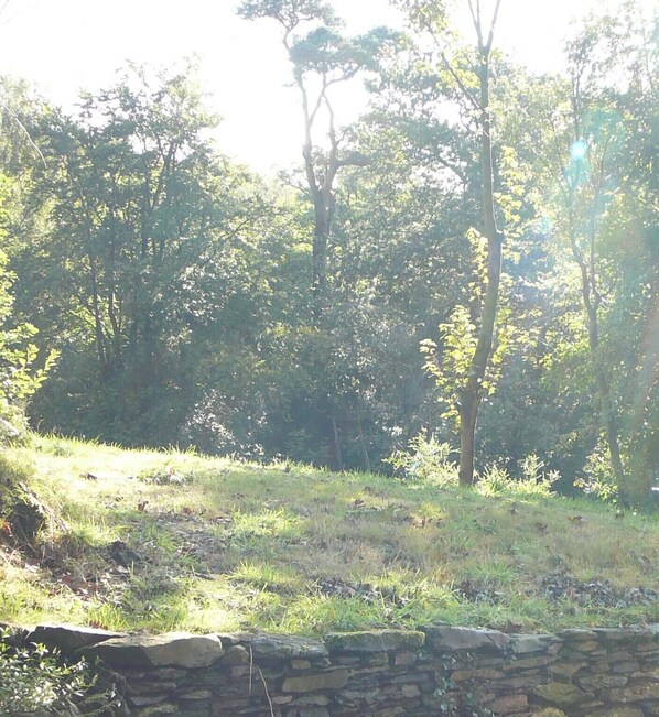 Boendeområde