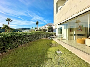 Backyard (1)