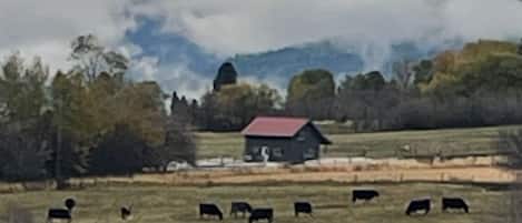 Beautiful pastoral location.