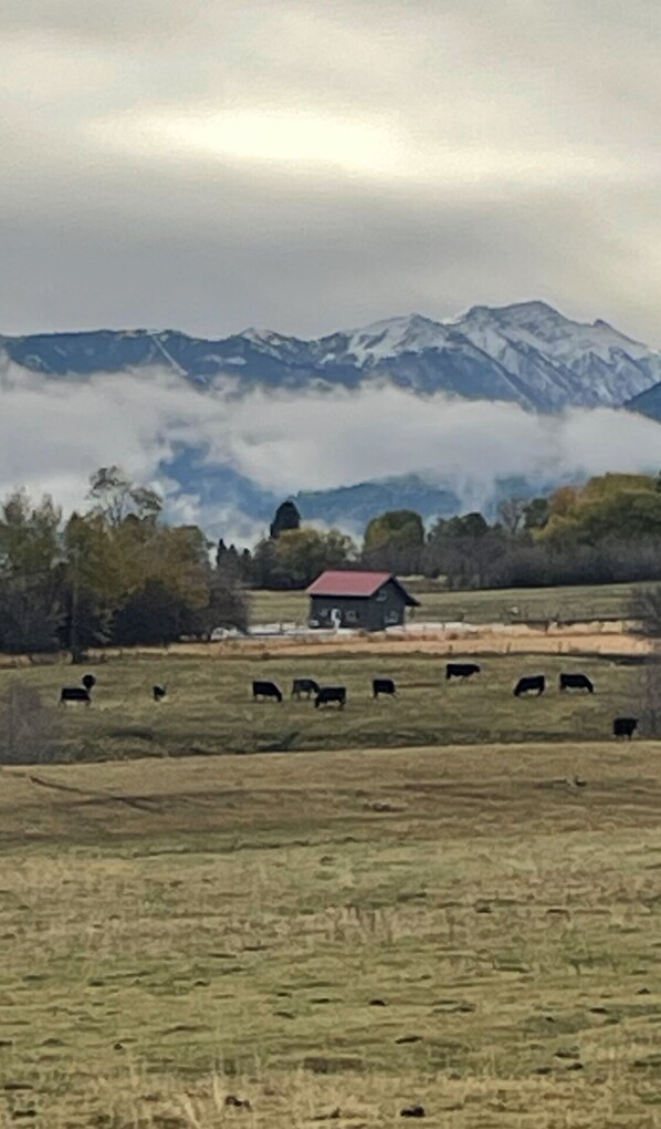 Beautiful pastoral location.