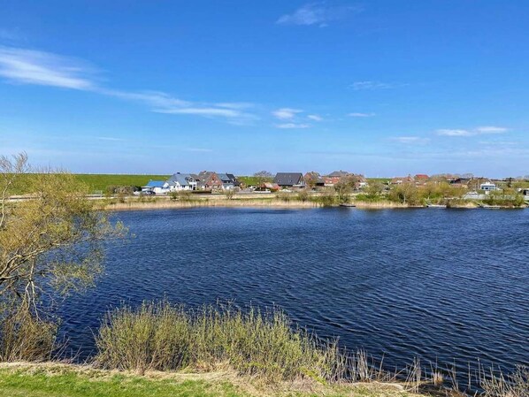 Sky, Shade, Land Lot, Cottage, Siding, Facade, Residential Area, Landscape, Roof, Grass
