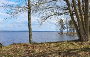 area