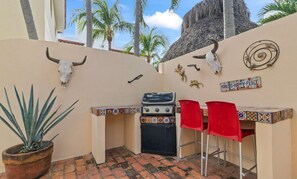 BBQ and Grill