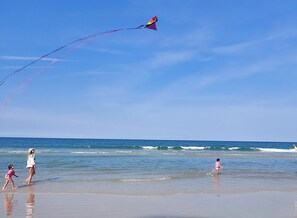 Beautiful Days to Fly a Kite