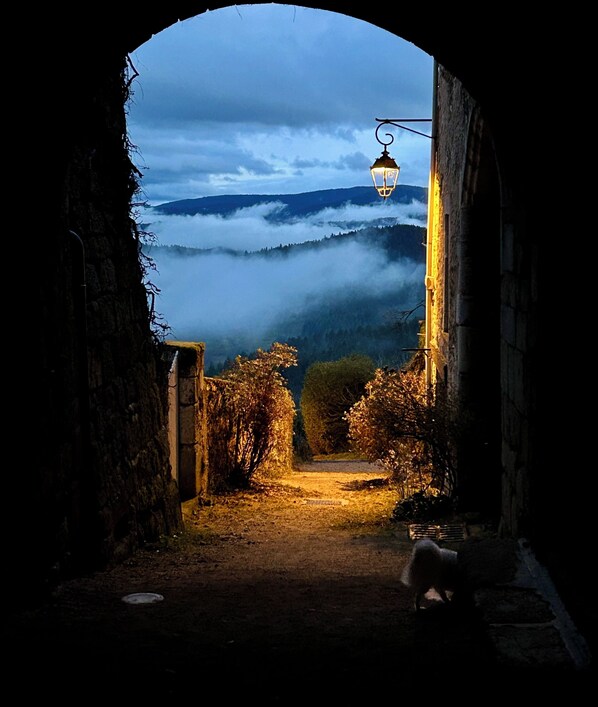 View from property