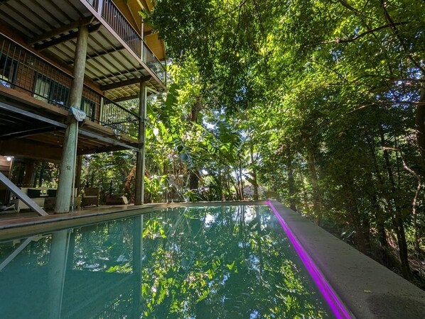 TreeTops by the Sea - Pole Home with Swimming Poo