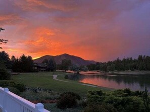 Breathtaking Lakefront Retreat – Wake up to stunning lake views, abundant wildlife, and the tranquility of a private, resort-style escape.