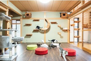 Cat shelter