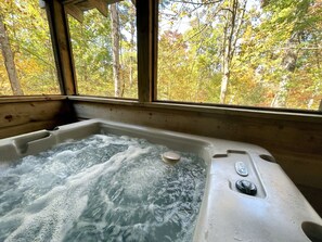 Hot Tub on Screened in porch