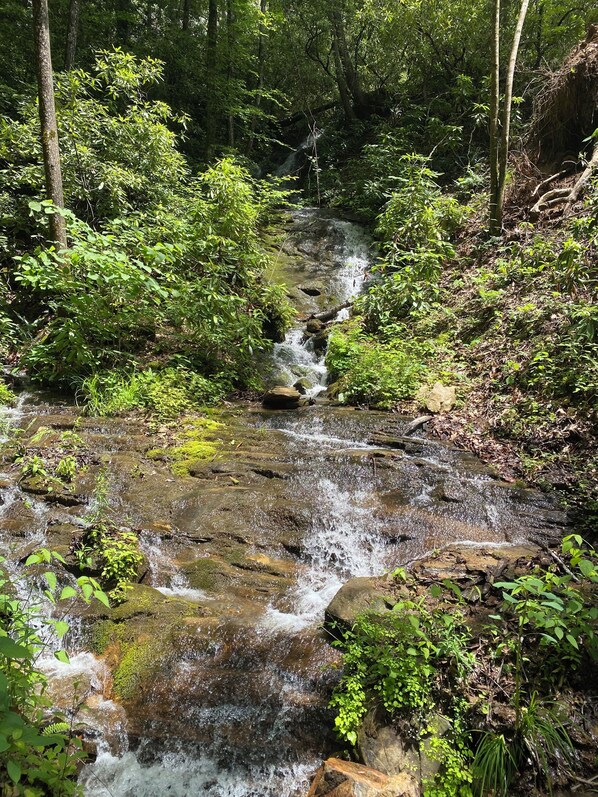 Private waterfall and picnic area for guests to enjoy!