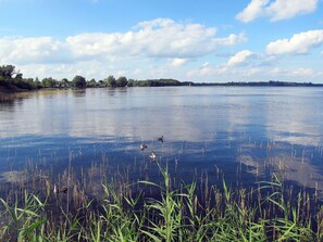 Blue, Water Resources, Water, Cloud, Nature, Natural Environment, Natural Landscape, Marsh