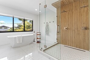 Master Bathroom Viewpoint of Walk-In Shower & Soaking Tub