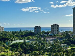 Breathtaking and beautiful, ocean view