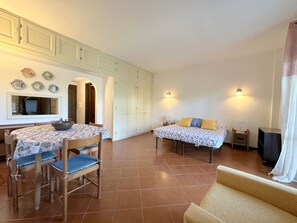 openspace living room/bedroom