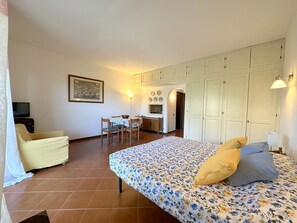 opensapce living room/bedroom