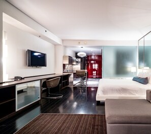 Bedroom/Living Room area