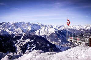 Sne- og skisport