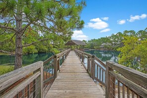 Beautiful walking paths