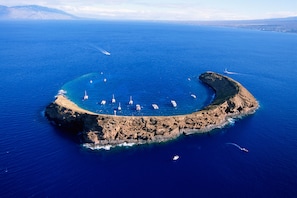 Tour ecologici