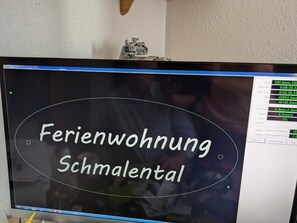 Television