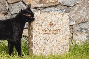 Animaux de compagnie acceptés