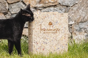 Animaux de compagnie acceptés